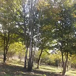 2 A 15 Mn De La En Pleine Nature Jacuzzi Dispo Du 01 Avril Au 15 Octobre Holiday home